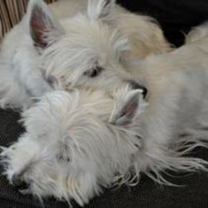 Meet your Posher, Margaret